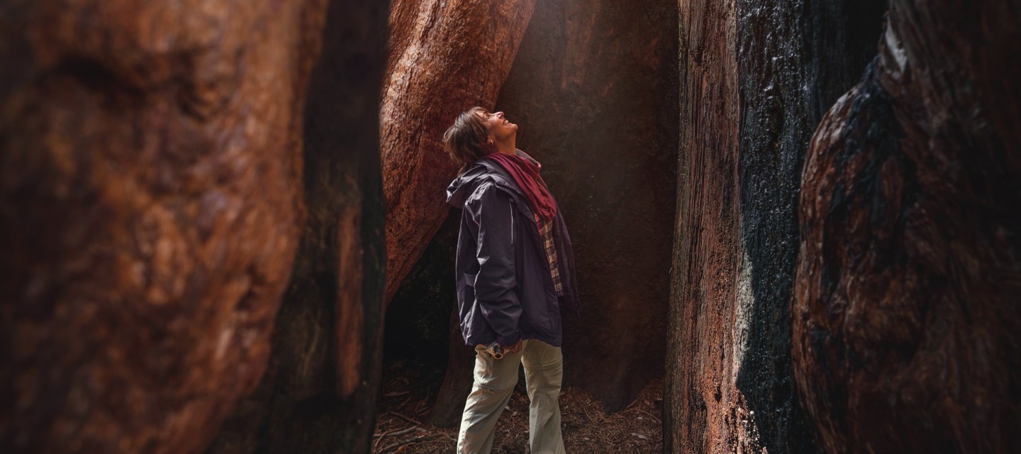 Sequoia National Park